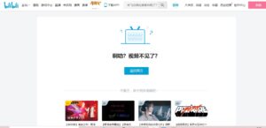 bilibili 　macro link 2021浜崎あゆみ　見れない 高画質　視聴　フルで見る方法